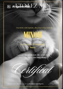 baptiser étoile pour animal décédé