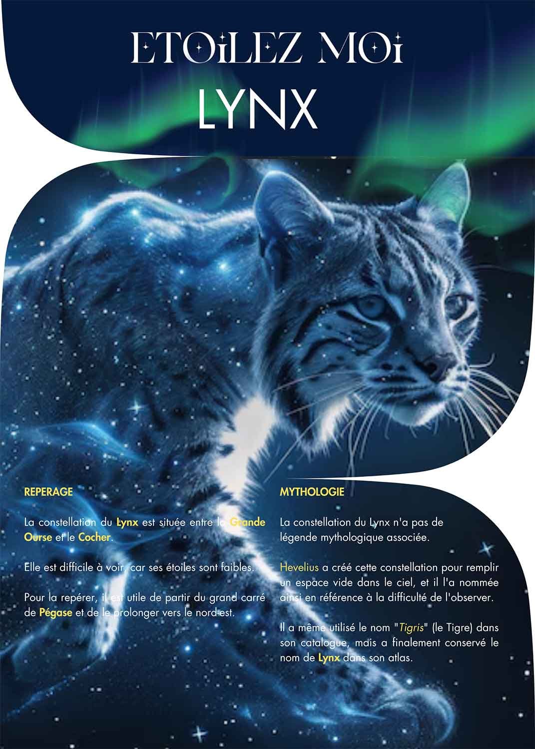 8-fiche-constellation