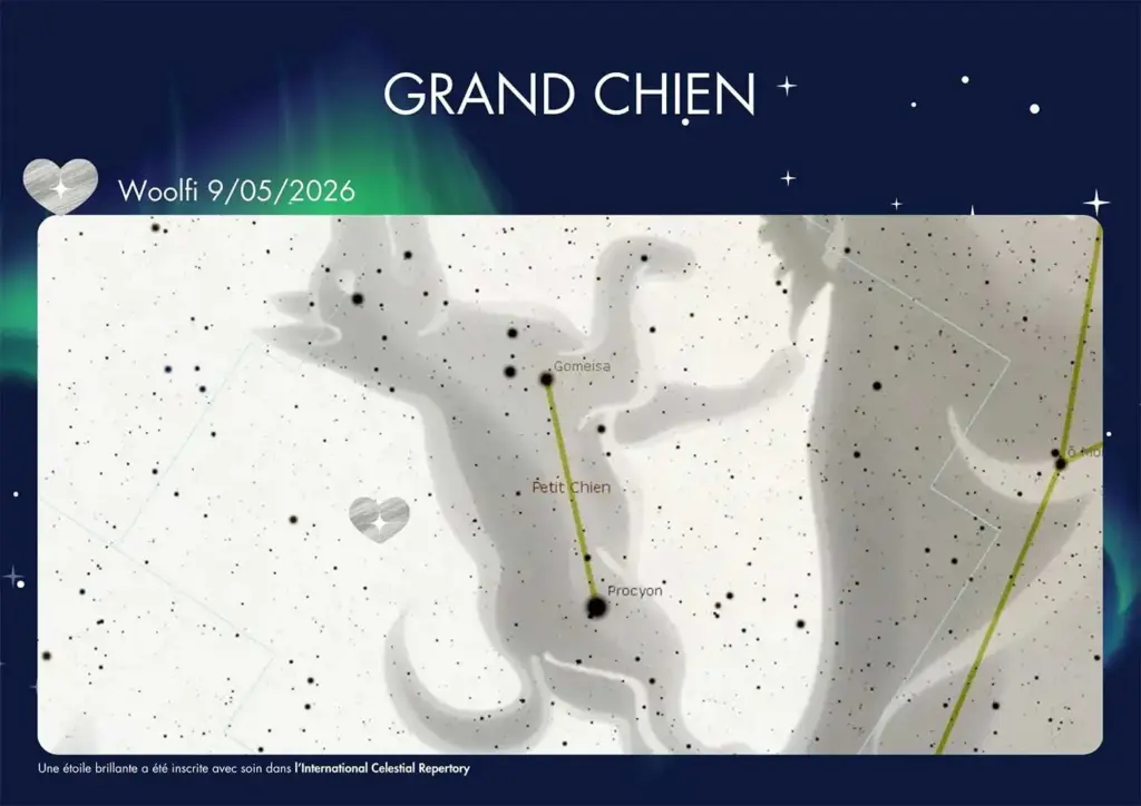 Carte du ciel avec étoile baptisée