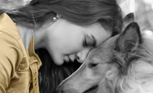deuil chien comment surmonter