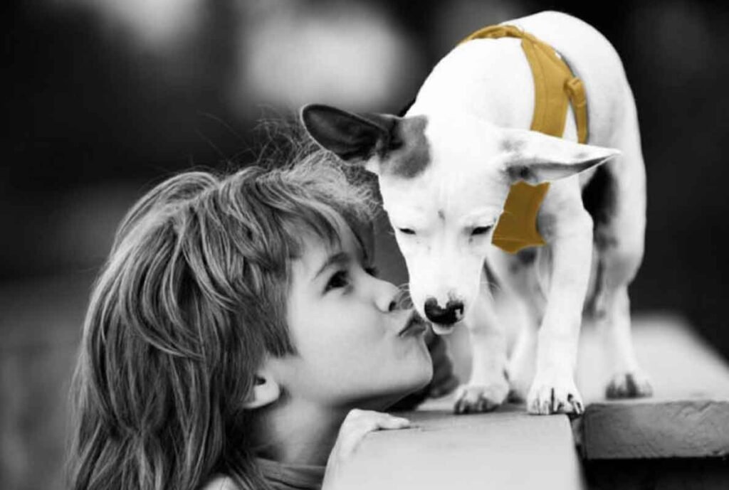 Rituel symbolique avec bougie pour un animal