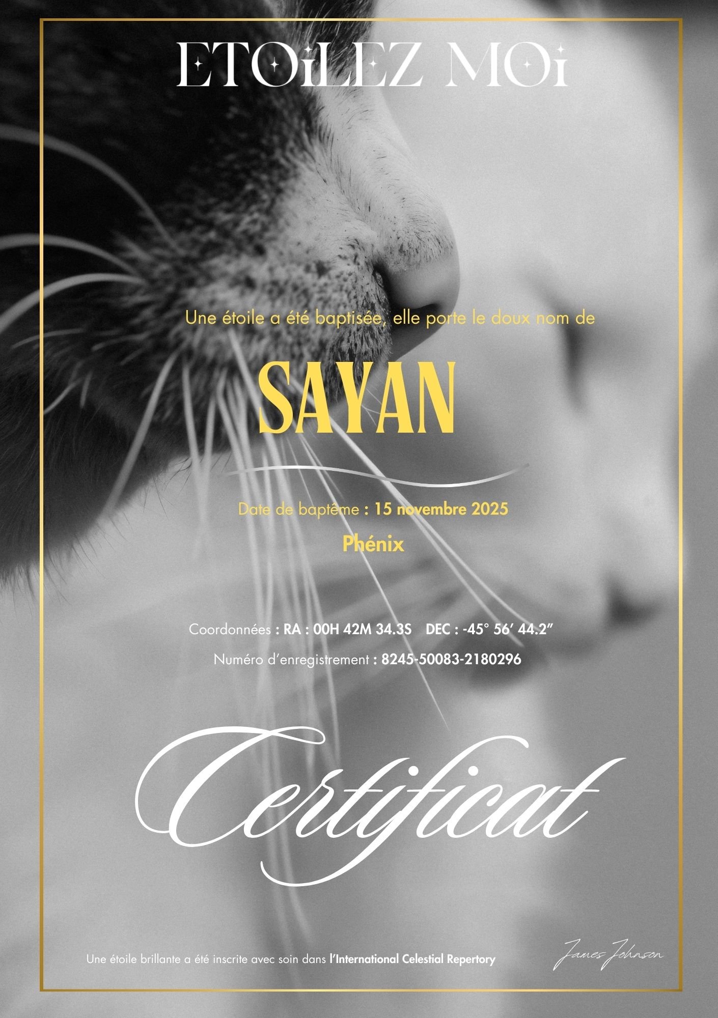 Certificat de baptême d'étoile illustré du profil d'un chat blanc, en noir et blanc
