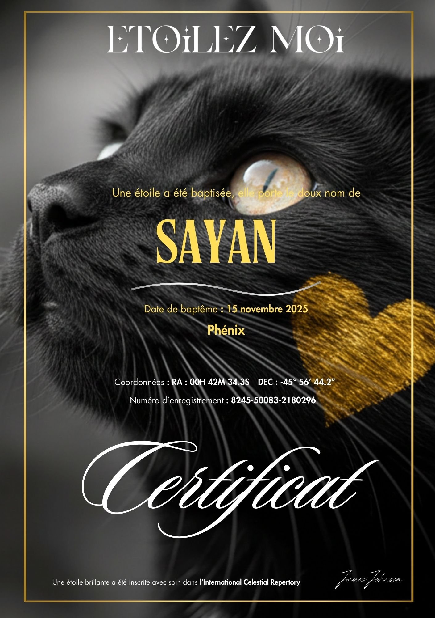 Certificat de baptême d'étoile illustré d'un chat noir aux yeux dorés