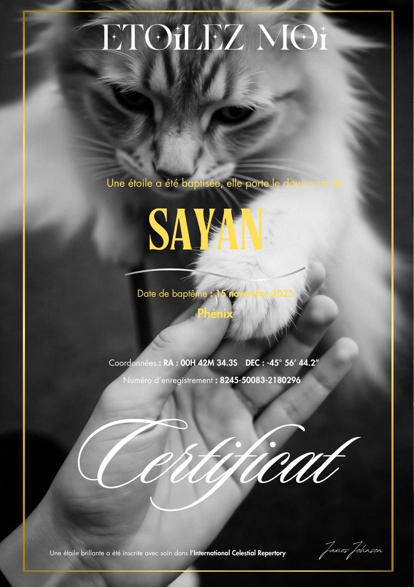 Certificat de baptême d'étoile illustré d'un chat qui pose sa patte dans la main de son maître, en noir et blanc