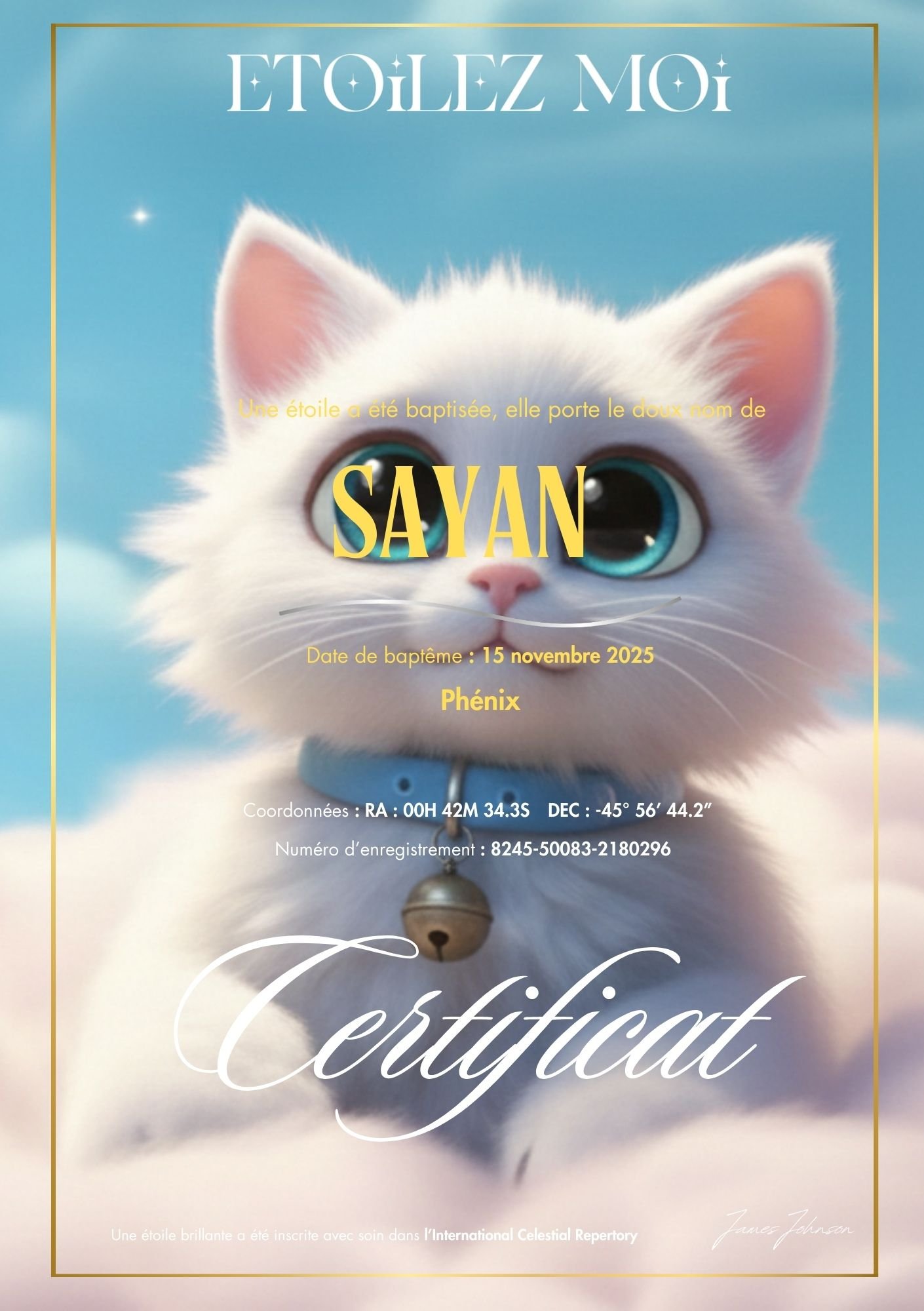 Certificat de baptême d'étoile illustré d'un chaton blanc aux grands yeux bleus, assis sur un nuage