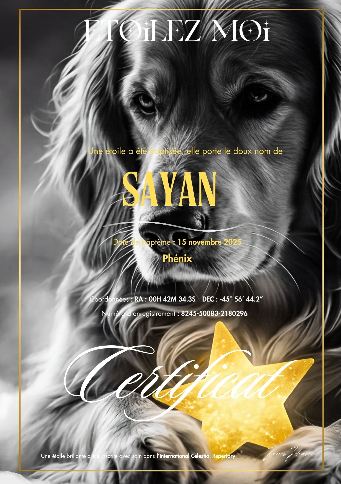 Certificat de baptême d'étoile illustré d'un golden retriever en noir et blanc, près d'une étoile dorée