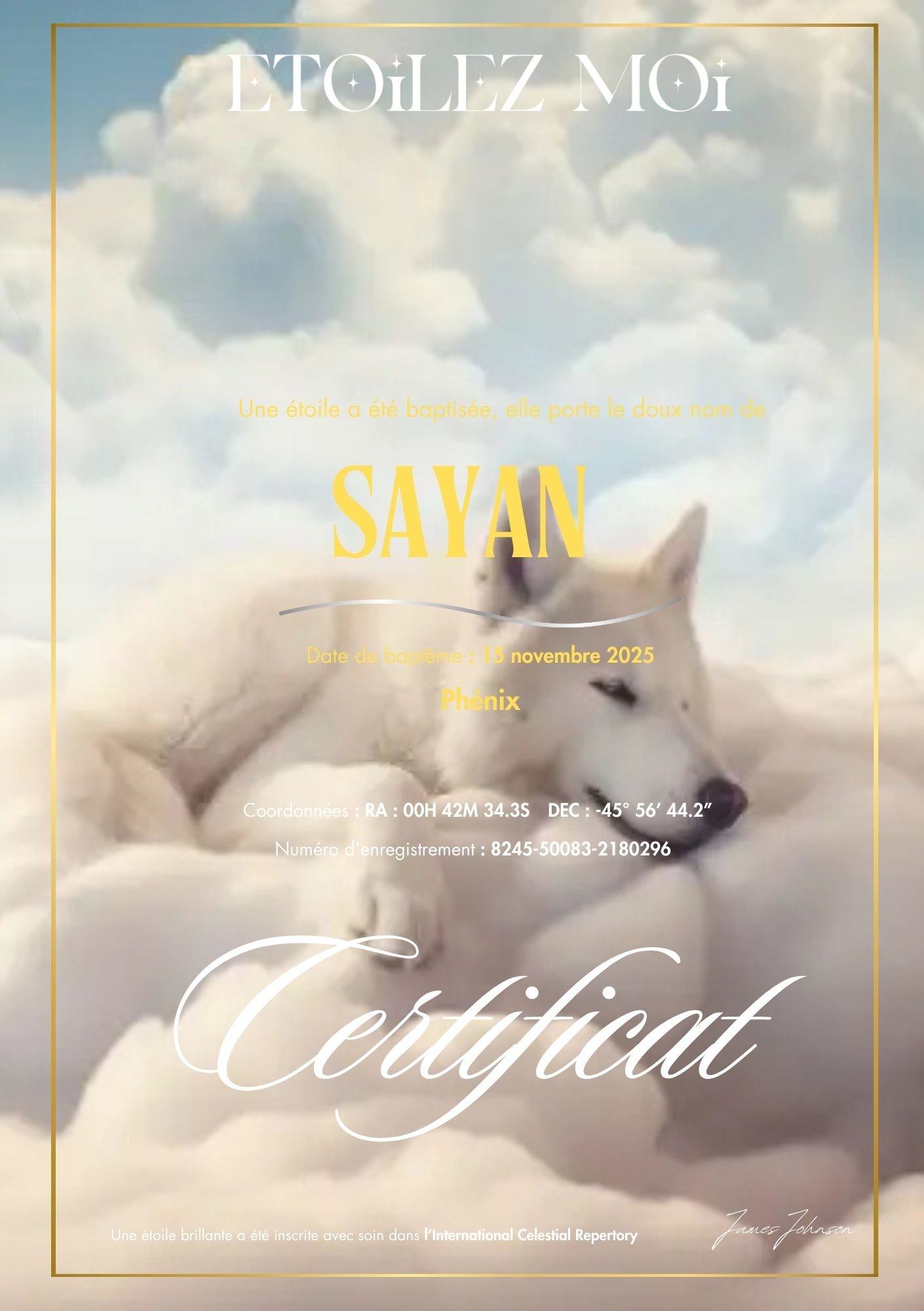 Certificat de baptême d'étoile illustré d'un chien blanc endormi sur un nuage