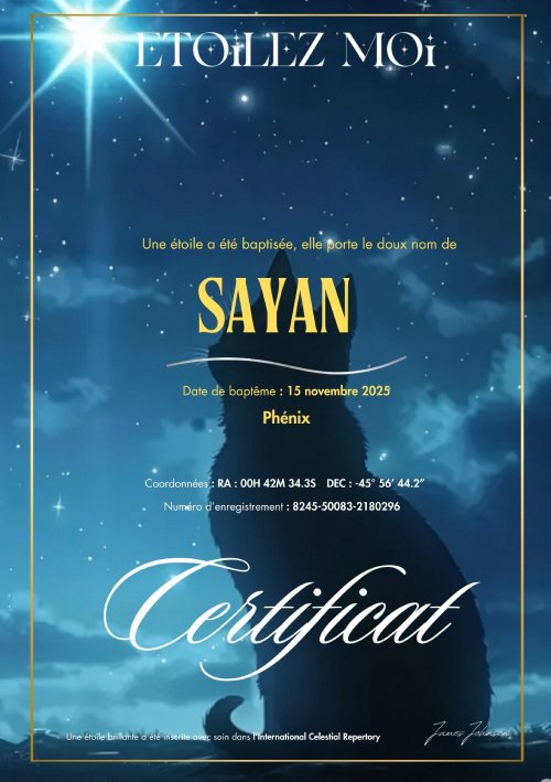 Certificat de baptême d'étoile illustré de la silhouette d'un chat sous une étoile brillante, dans un ciel de nuit bleu