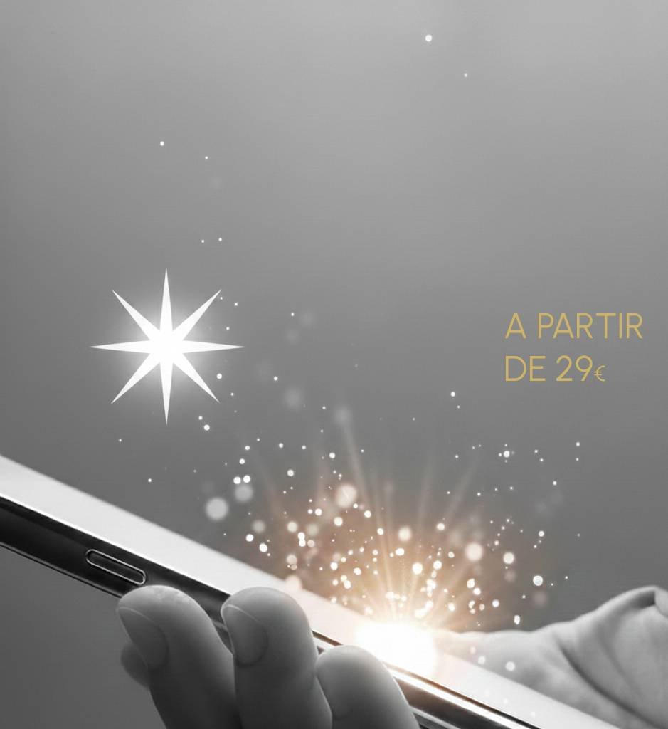 Coffret digital hommage chien disparu certificat personnalisé – cadeau de condoléances pour chat à distance