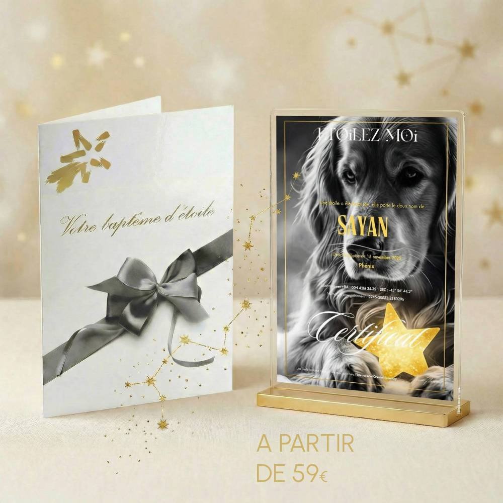 Comment honorer la memoire d'un chien mort