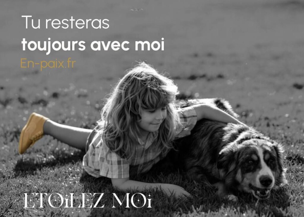 femme tristesse perte chien méditation