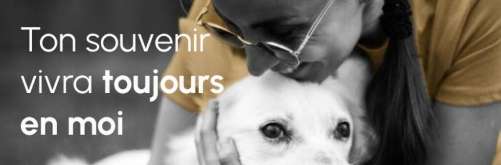 Main d'un propriétaire caressant doucement la patte de son chien, illustration du lien éternel et du soutien émotionnel lors de la fin de vie