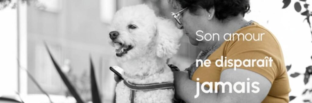 Personne écrivant dans un carnet en forêt