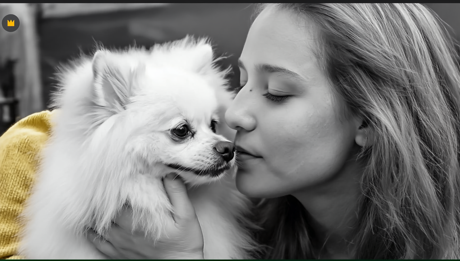 Enfant caressant un chat illustration deuil