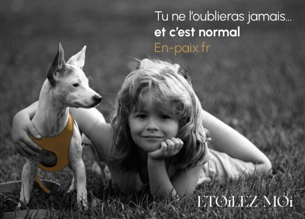 Courbe du deuil animalier par vagues