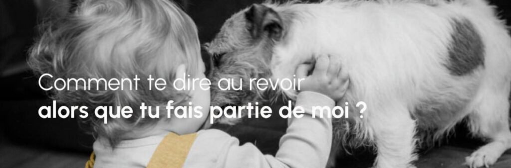 Parent consolant un enfant qui pleure, accueil des émotions deuil animal enfant.