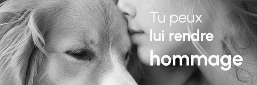 Deuil animalier après la perte d'un chien avec rituel d'hommage sous un ciel étoilé