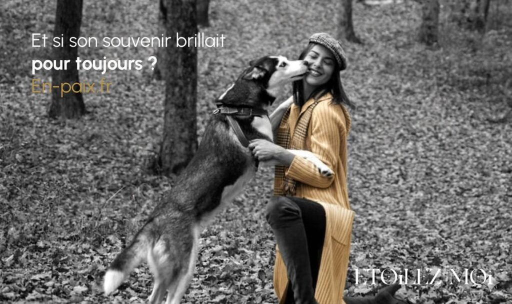 Alimentation saine croquettes qualité gamelle