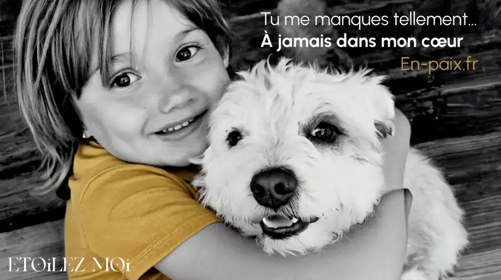 Enfant assis à côté d'un animal vieux ou malade, préparation progressive deuil animal.