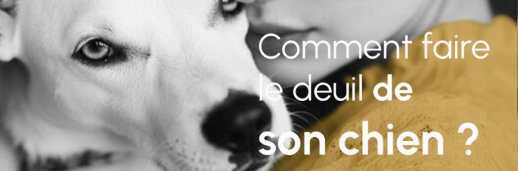 Une constellation numérique lumineuse dessinant une empreinte de patte de chien sur l'écran d'une tablette tactile, illustrant la convergence entre la science, la technologie et la mémoire éternelle de l'animal.