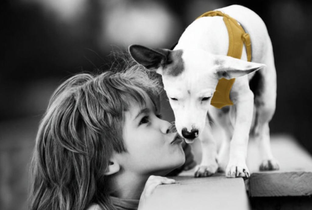 Un enfant embrasse son petit chien blanc, en noir et blanc