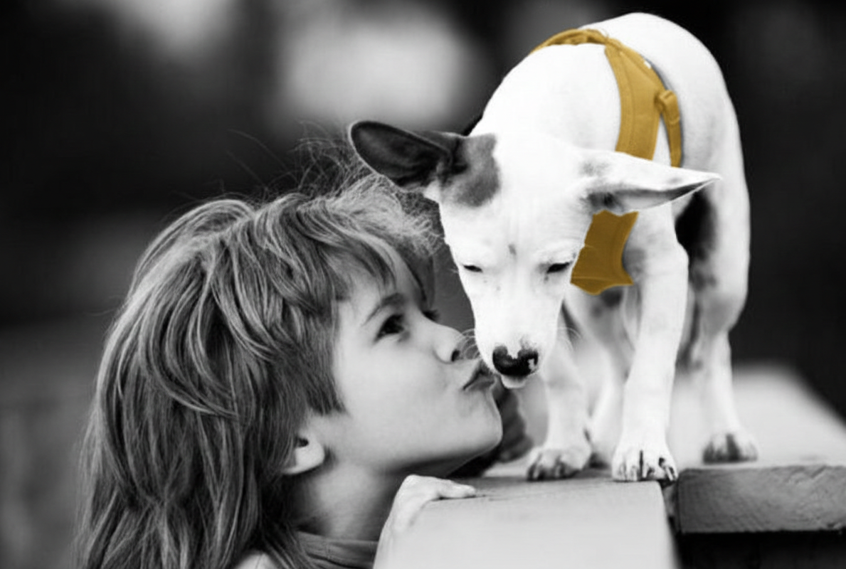 Gros plan main enfant caressant patte chien Confident silencieux et repère émotionnel.