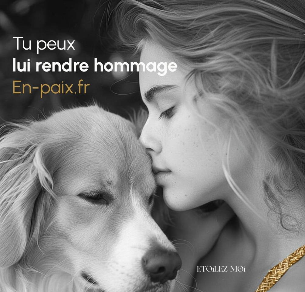 Photo polaroïd enfant animal souriant table, créer souvenirs positifs deuil animal.