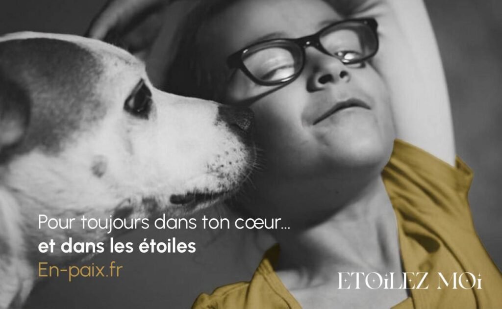 Tableau des étapes du deuil enfant