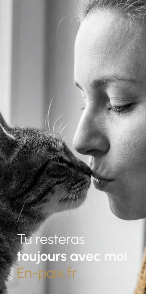 Femme embrassant tendrement son chat, bannière dédiée au bien-être émotionnel félin et à l’univers chat