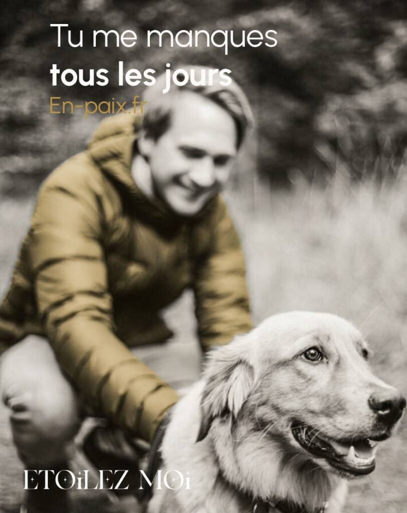 Mastication chez le chien pour favoriser la détente et le bien-être mental