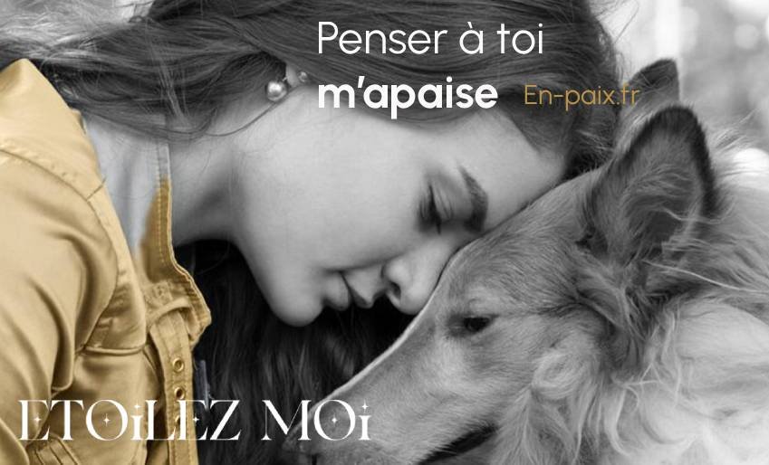 signes de deuil chez le chien baisse d'appétit et apathie