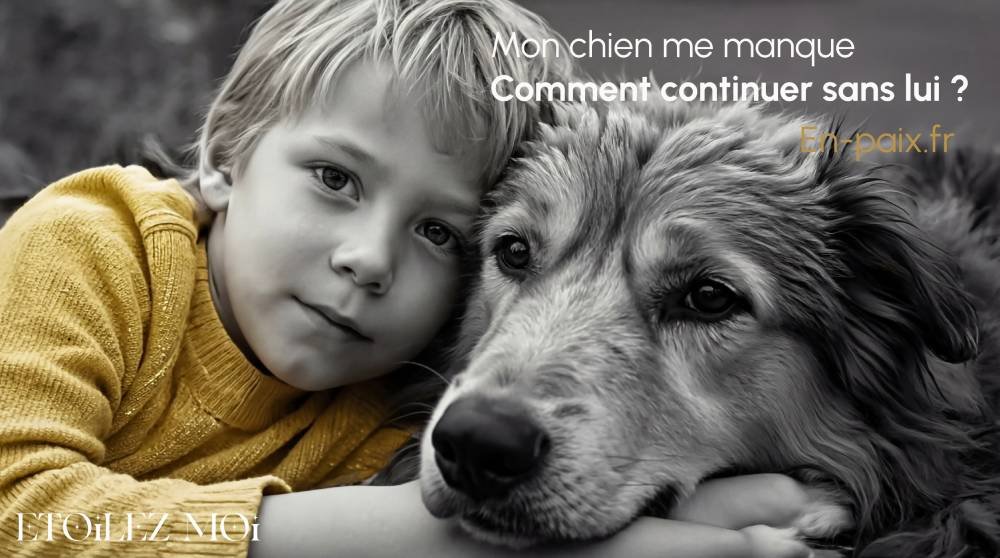 Album photo souvenir d’un chien disparu