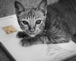 Deuil animalier après la perte d'un chien avec hommage symbolique sous un ciel étoilé