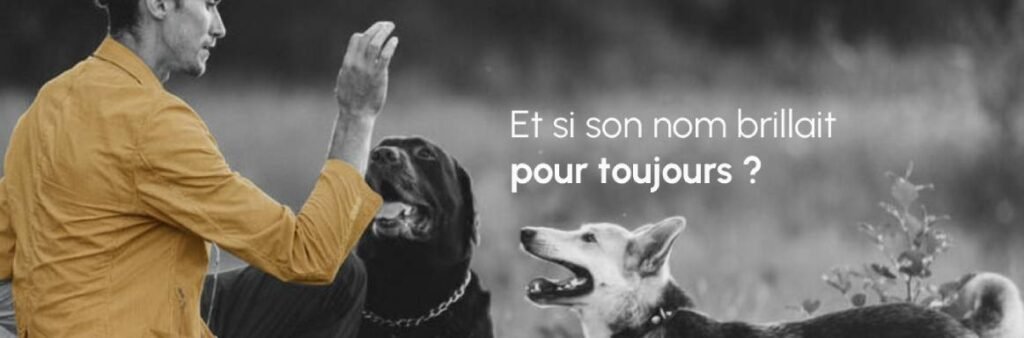 Premières heures après la mort d'un chien dans le cadre du deuil animalier