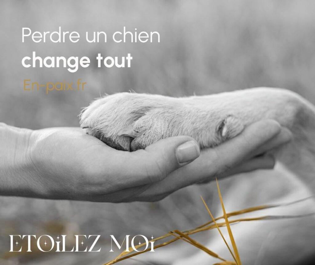 Cette scène illustre la création d'un espace de mémoire après la disparition d'un chien, favorisant l'acceptation progressive du deuil.
