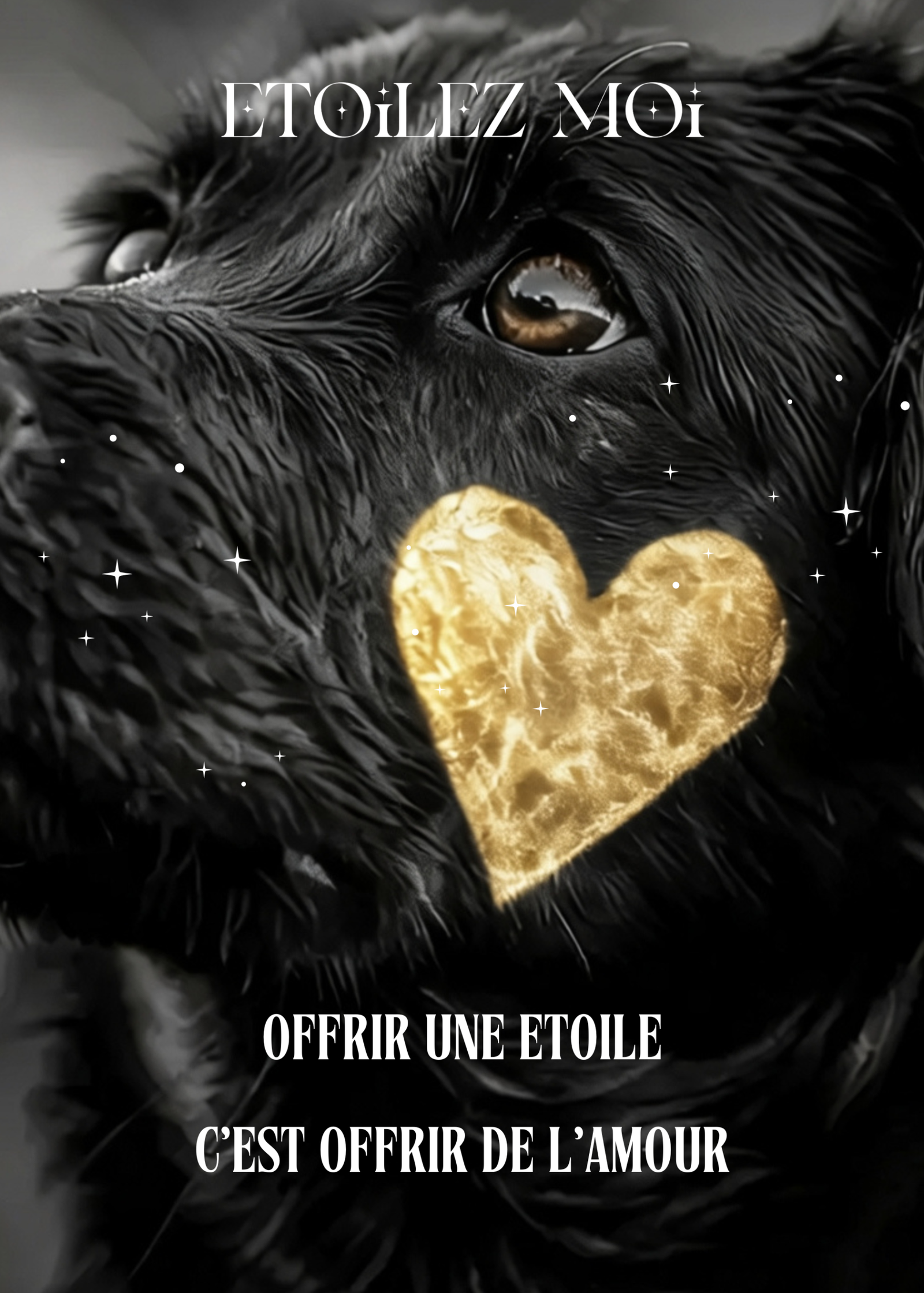 Chien noir au cœur doré, avec les mots « Offrir une étoile, c'est offrir de l'amour »