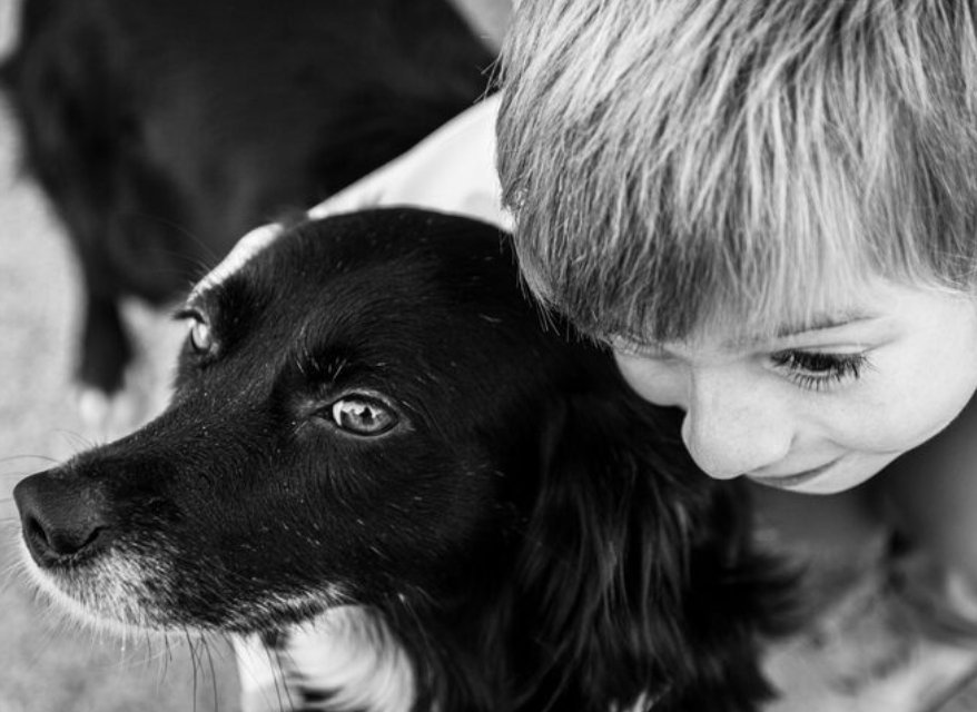 Personne en deuil réfléchissant avant d'accueillir un nouvel animal
