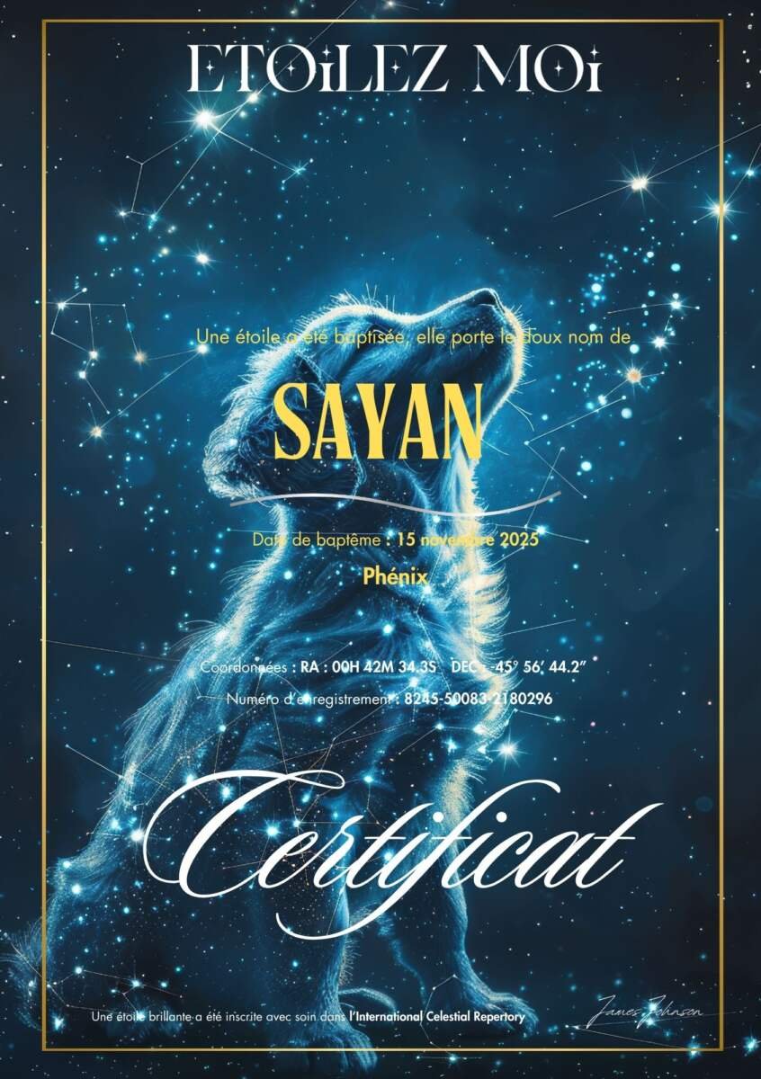 Certificat de baptême d'étoile illustré d'un chien dessiné par les étoiles