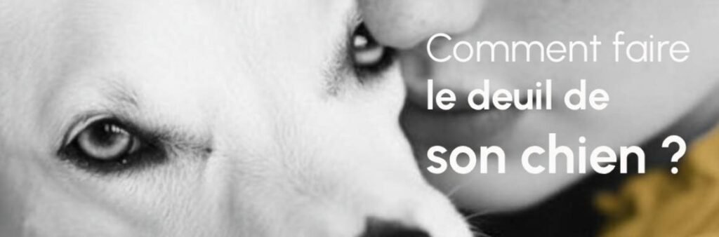 Panier et couverture conservés après la mort d’un animal