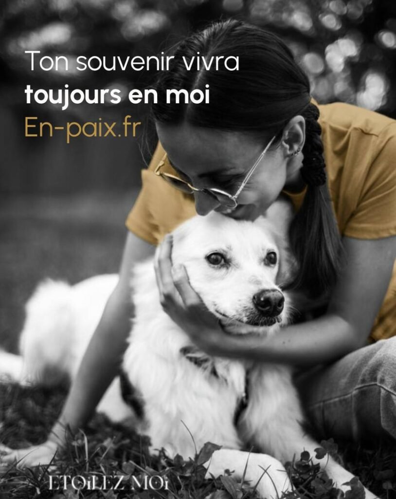 Boîte contenant les souvenirs d'un chien ou d'un chat disparu